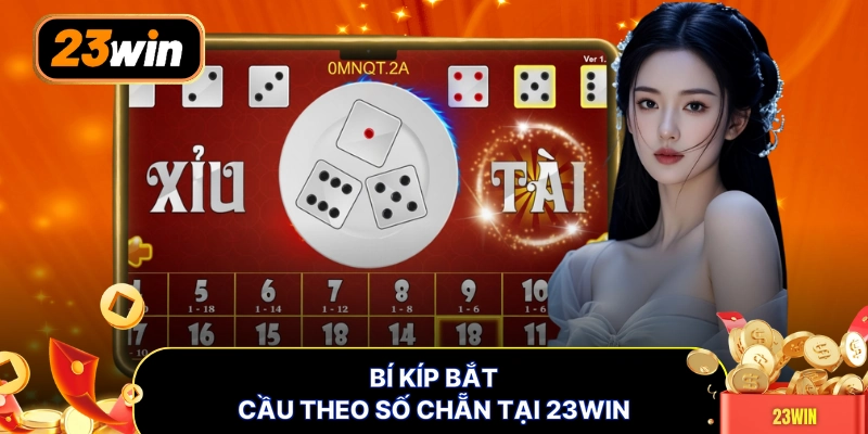 Bí kíp bắt cầu theo số chẵn tại 23WIN