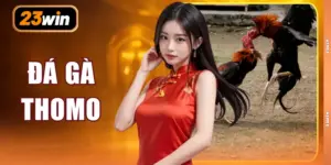 Đá Gà Thomo - Chi Tiết Về 3 Nguyên Tắc Tính Điểm Cơ Bản