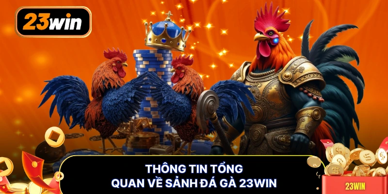 Thông tin tổng quan về sảnh đá gà 23WIN